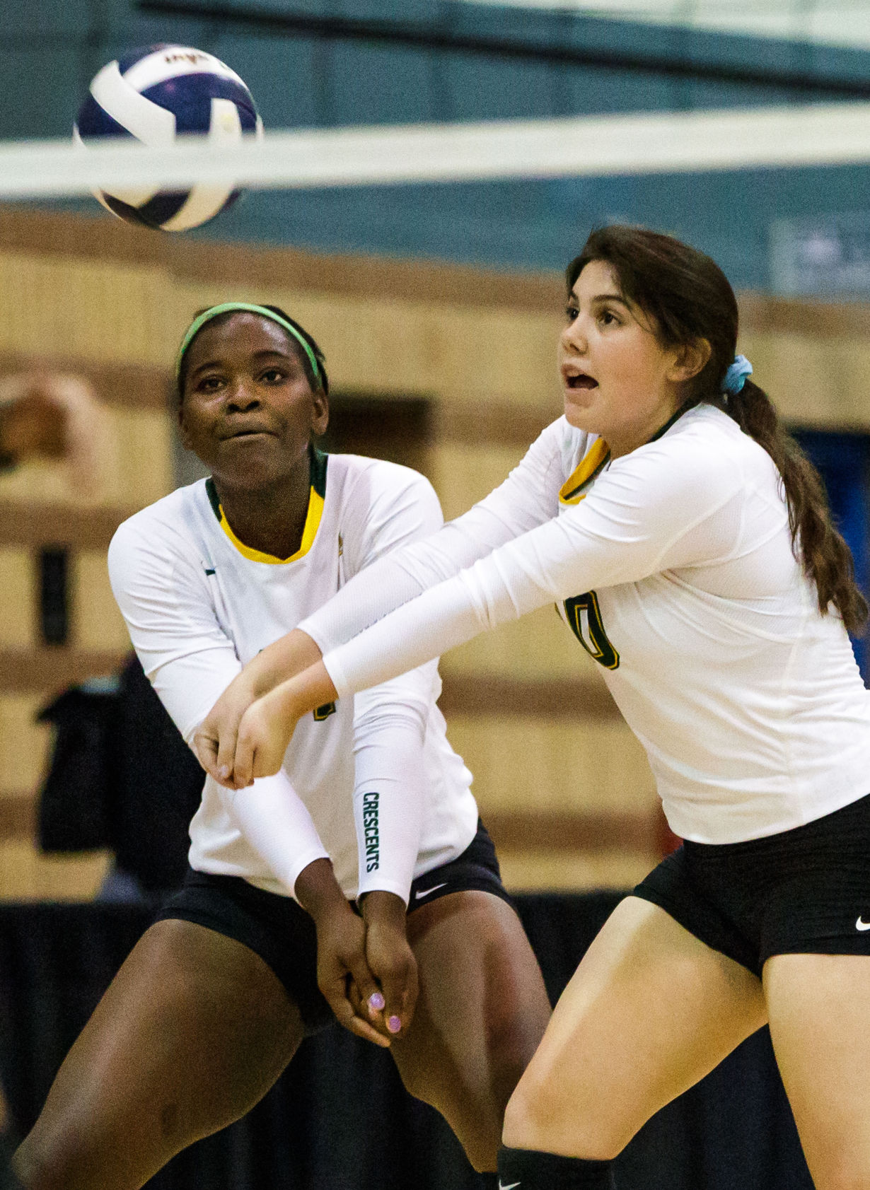 no.volleyballdivisionII.111017.014.JPG